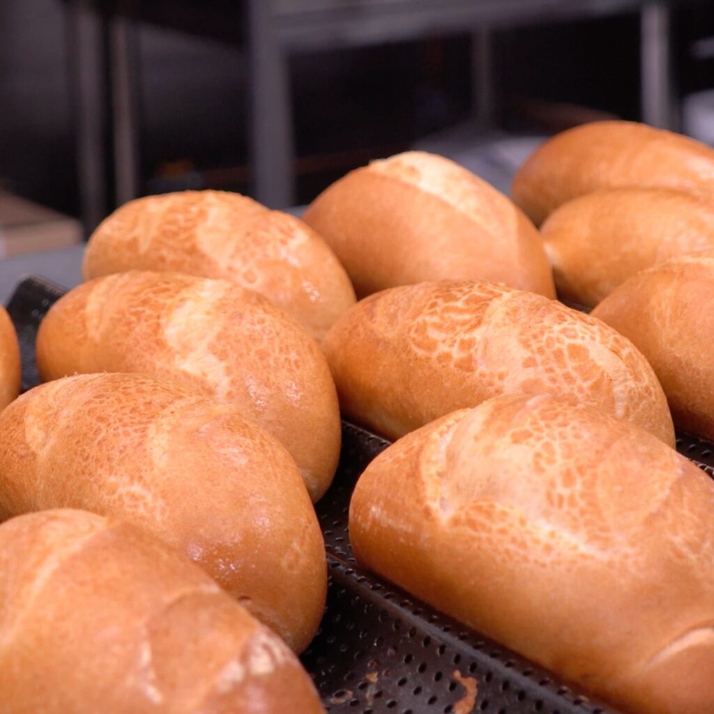 Frozen Roll - Frozen Tiger Roll - Frozen Long Roll - NTSz Group - Bakery Supplier - Tiger Roll