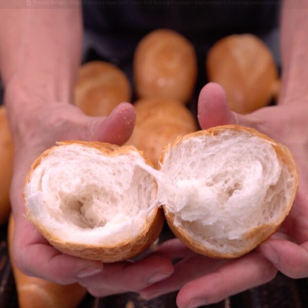 Frozen Roll - Frozen Tiger Roll - Frozen Long Roll - NTSz Group - Bakery Supplier - baked
